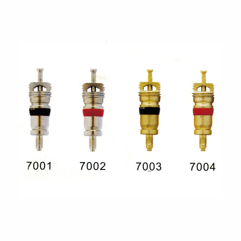   Large bore short  valve core ,appl ied   to tire  valves with No.2 core    chamber (8v1)